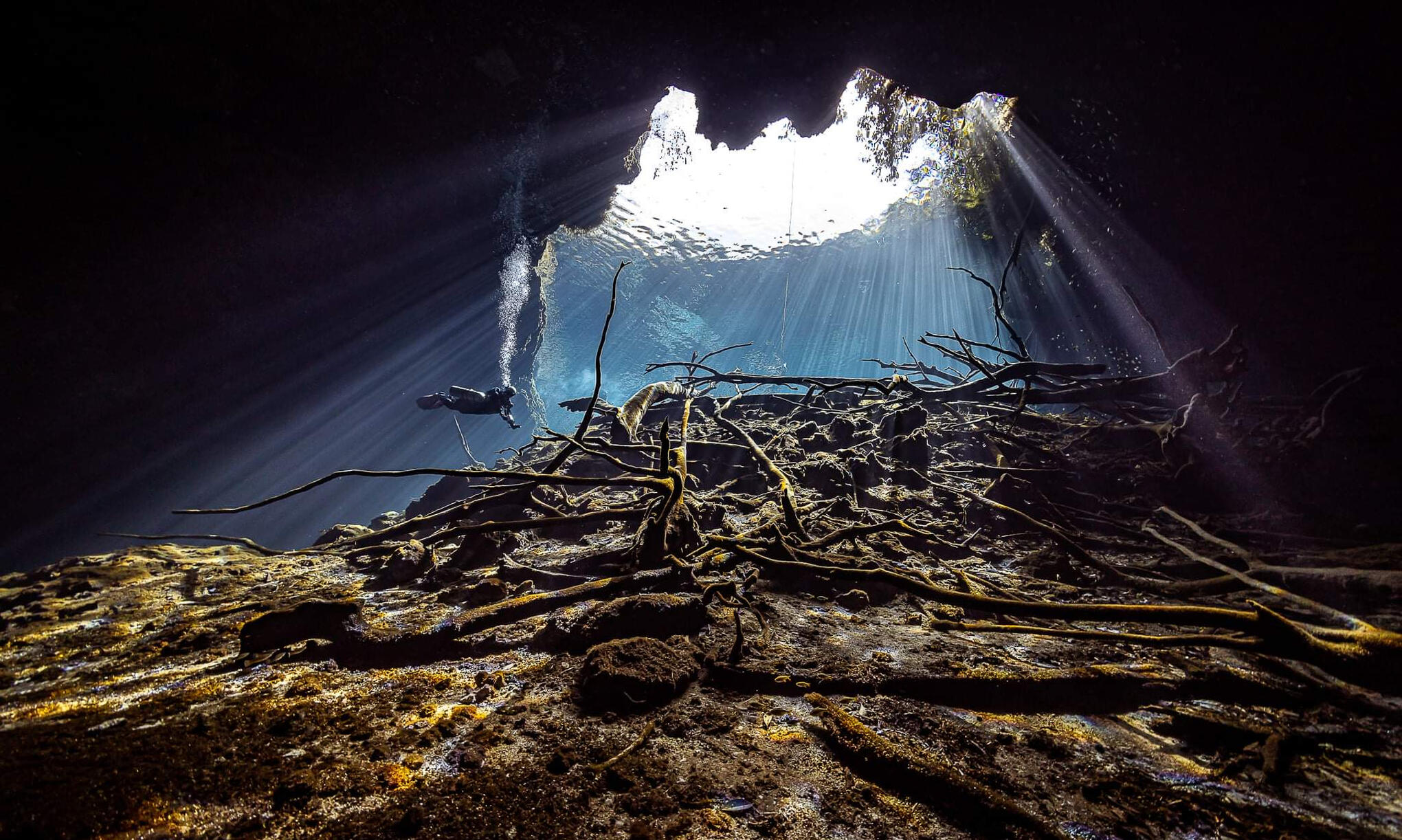 Entorno de entrenamiento de buceo en cueva Entorno de entrenamiento de buceo en cueva en la Riviera Maya